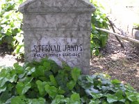 Sternád János